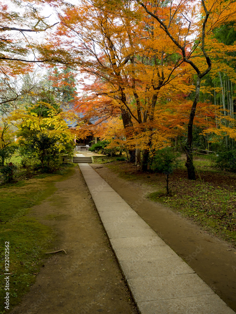 世界遺産　平泉　中尊寺の紅葉