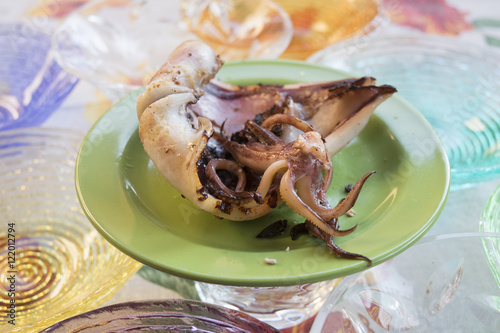 grilled squid on a colored plate photo