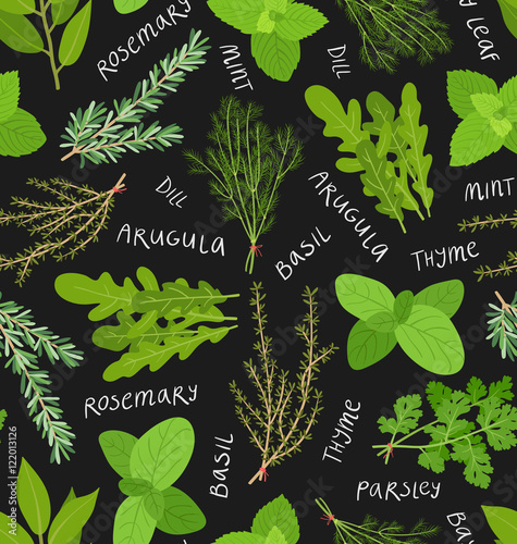 Herbs seamless pattern