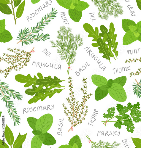 Herbs seamless pattern on white