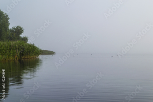 Misty morning on lake