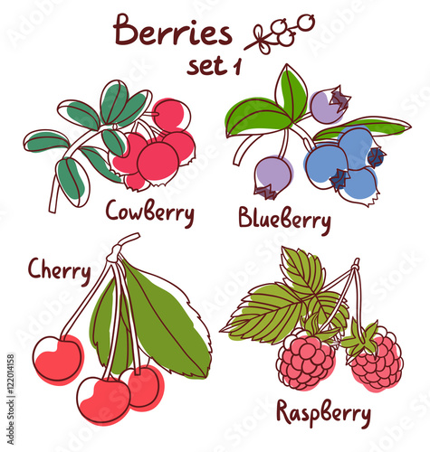 Raspberry, blueberry, cherry and cowberry berries set 1