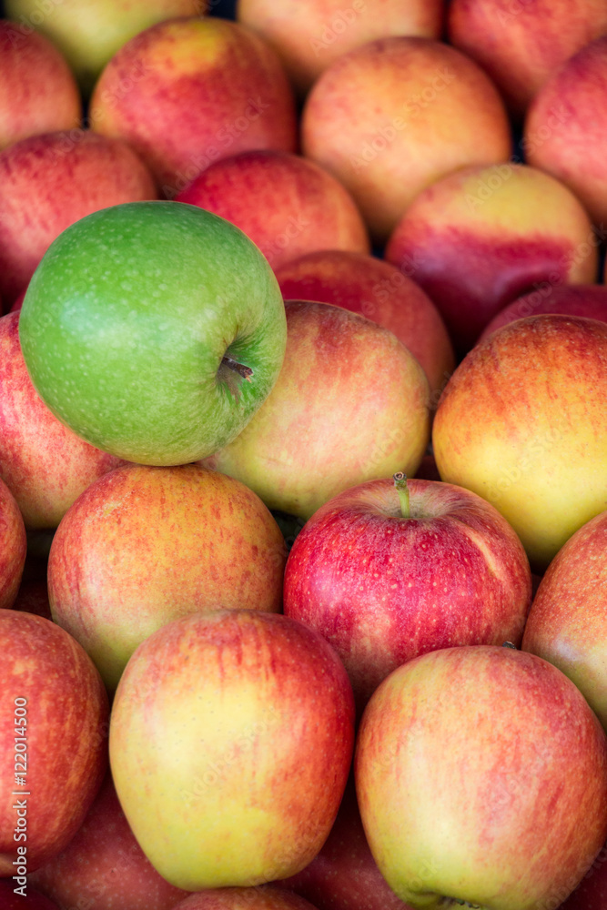 Unique. Green apple among a group of red apples. Unique. Green apple among a group of red apples.