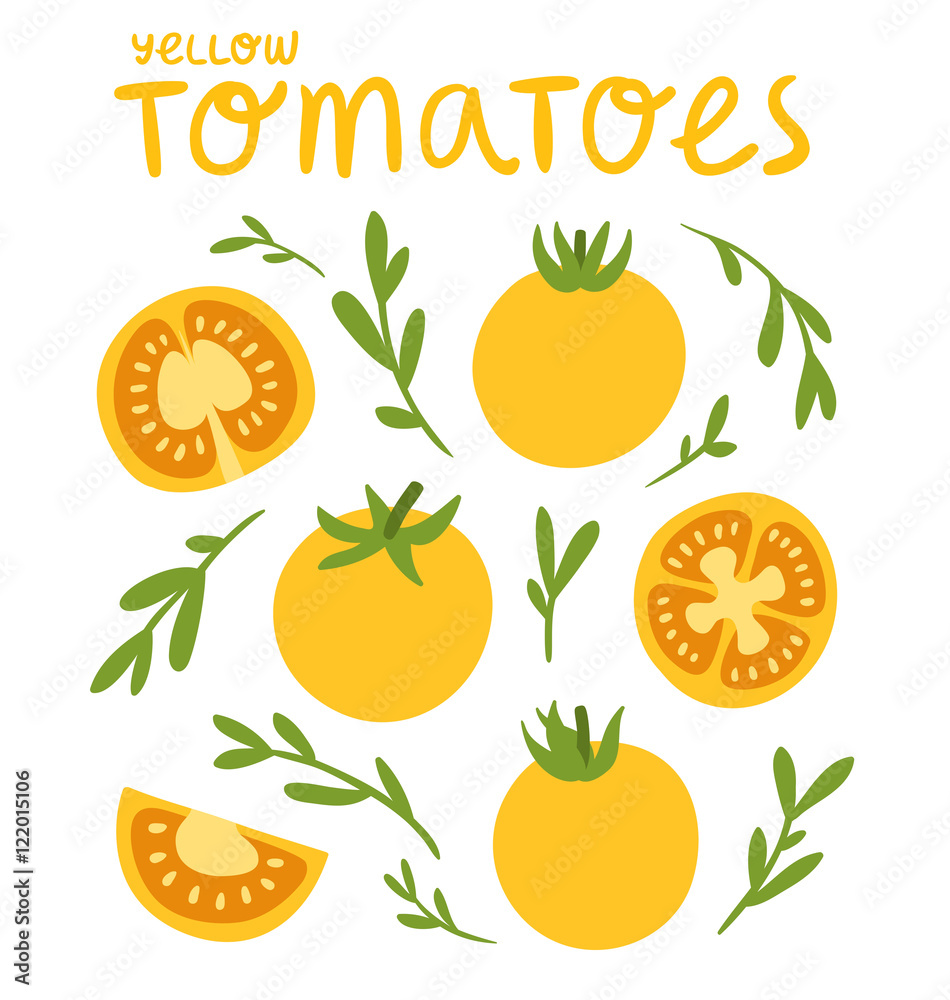 Yellow tomatoes collection, vector illustration Yellow tomatoes collection, vector illustration