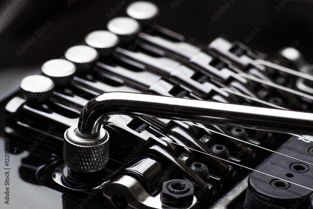 Φωτογραφία Electric guitar tremolo