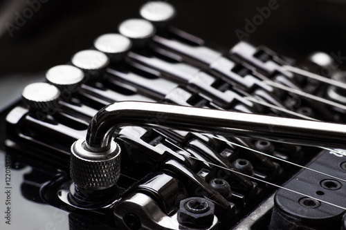 Photos Electric guitar tremolo