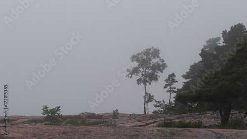 Fototapeta Naklejka Na Ścianę i Meble -  Misty morning on rocky island