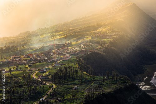 Sunrise in the forest near Bromo volcano, Java island, Indonesia