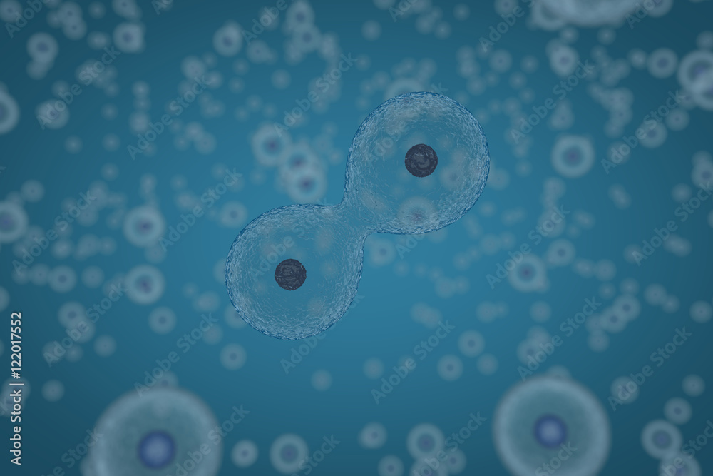 Scientific illustration of cells dividing by osmosis, background with cells, 3D render illustration