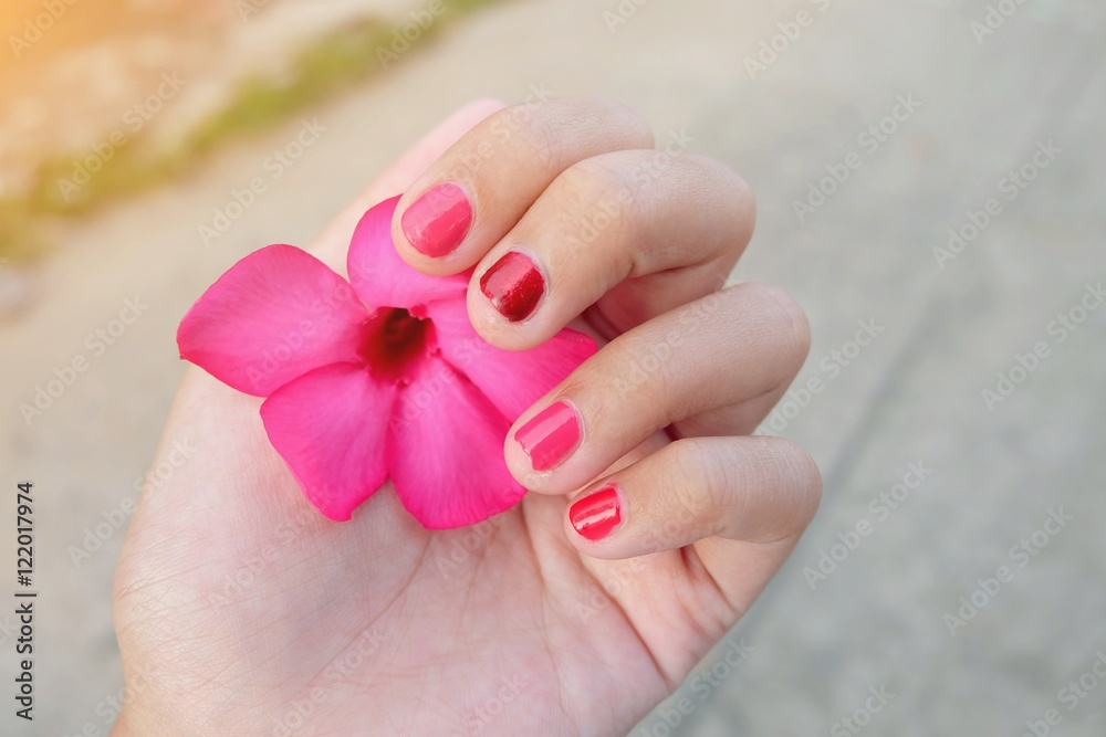 hand holding pink flower