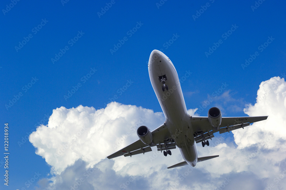 Obraz premium 飛行機