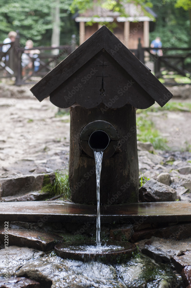 Mineral Water Spring in Forest
