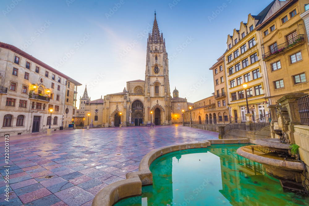 The Cathedral of Oviedo