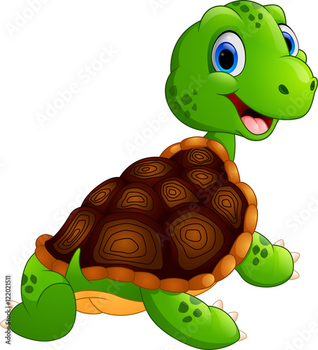 Cute turtle cartoon