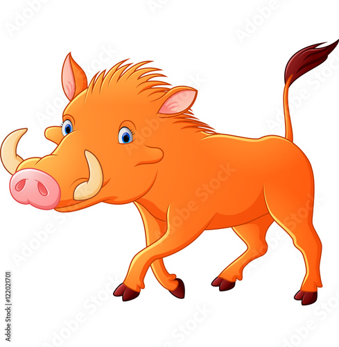 Cartoon warthog