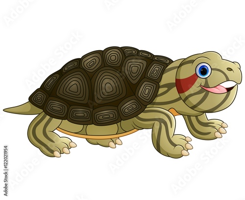 Cartoon baby cute turtle