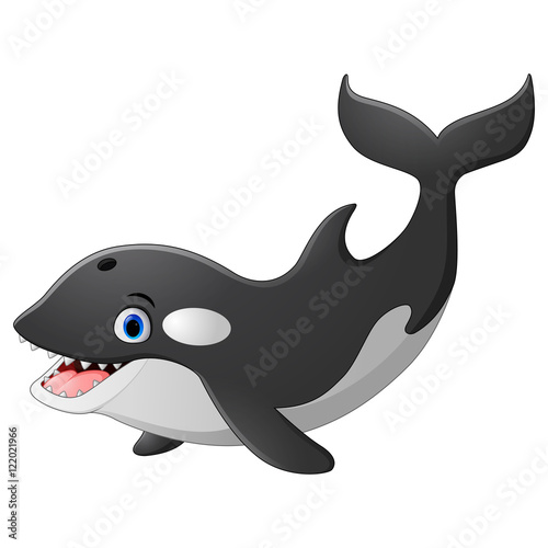 Killer whale cartoon 