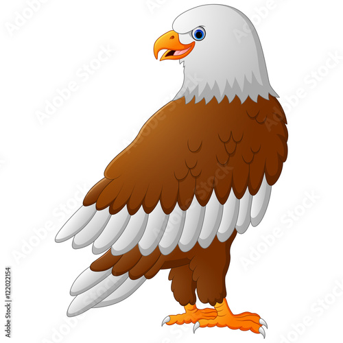Cartoon eagle posing