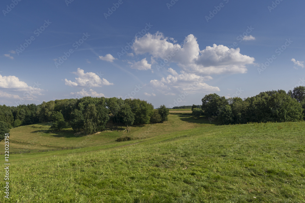 Field in the region of hallertau, Bayern (germany)