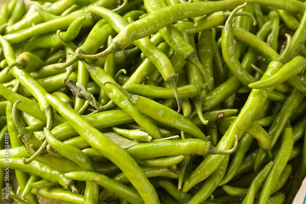 Green Chilli Padi, Bird's Eye Chilli, Bird Chilli, Thai pepper Green Chilli Padi, Bird's Eye Chilli, Bird Chilli, Thai pepper