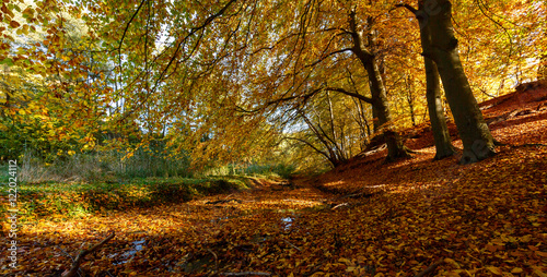 Herbstlaub im Bach photo