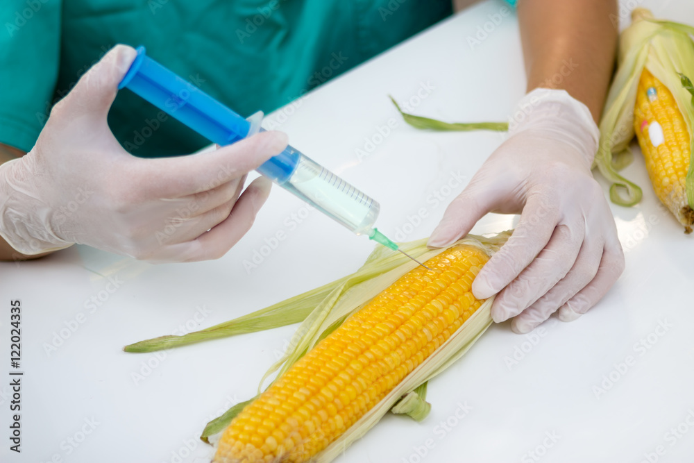 Genetic research on food