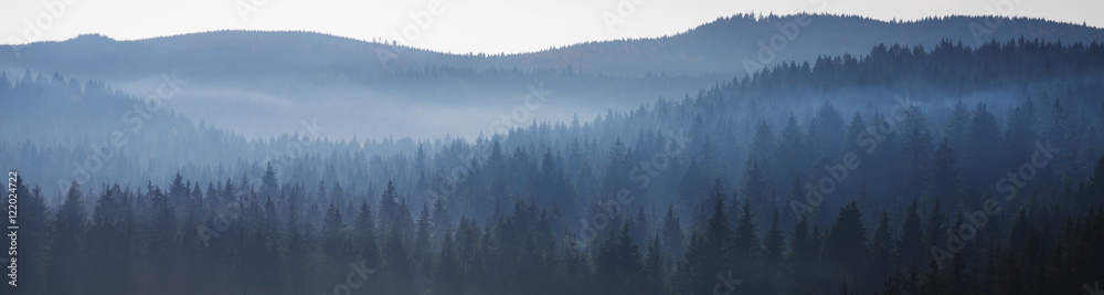 Waldpanorama mit Nebel