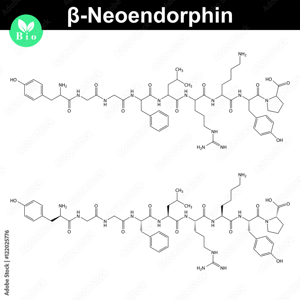 Beta neoendorphin molecular formula
