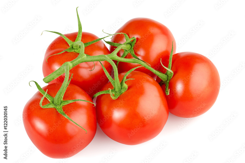 bunch of red tomatoes isolated on white background