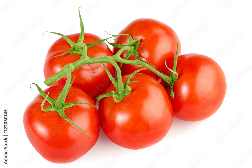 bunch of red tomatoes isolated on white background bunch of red tomatoes isolated on white background