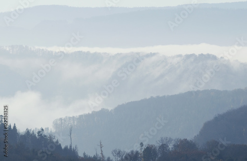 Nebelwald © C. Schüßler