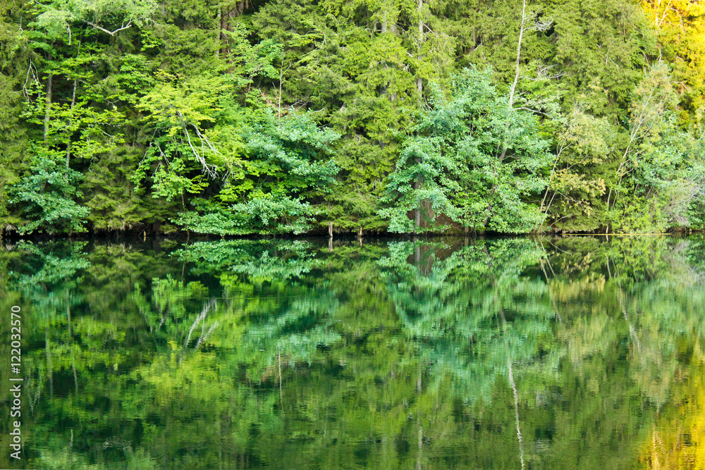 Forest reflection on the lake water, mirror effect in Bateti lake in Khareli, Georgia. Forest reflection on the lake water, mirror effect in Bateti lake in Khareli, Georgia.