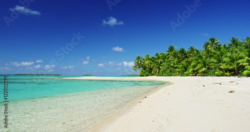 Beautiful tropical island paradise with palm trees in the south paciifc photo