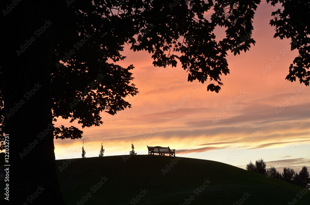 Trees and park seat silhouetted against orange glow in sky at sunset. Trees and park seat silhouetted against orange glow in sky at sunset.