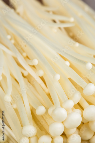 Close up on various kind of mushrooms