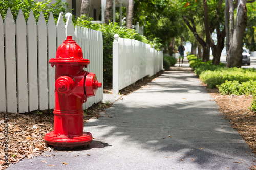 Fire hydrant at a fence. Key West. USA photo