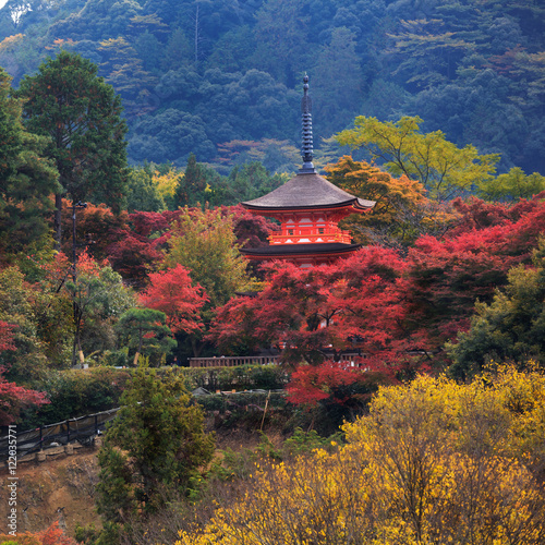 Red pagoda at Kiyomizu-dera in autumn season,The leave change color of red castle in japan, Kyoto, Japan