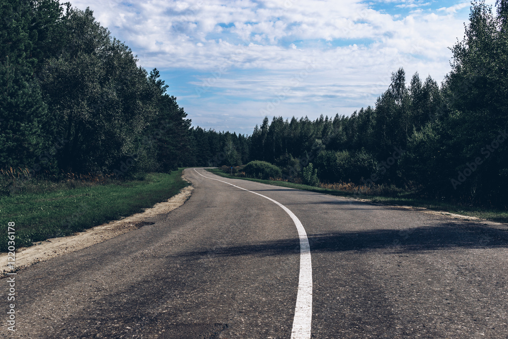 Fototapeta premium Asphalt road in the woods