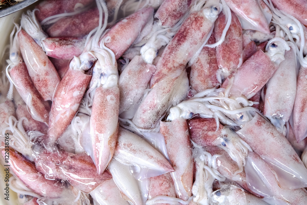 Splendid Squid (Loligo duvauceli), Marine animals that are used for cooking seafood, especially grilled foods. background Splendid Squid (Loligo duvauceli), Marine animals that are used for cooking seafood, especially grilled foods. background