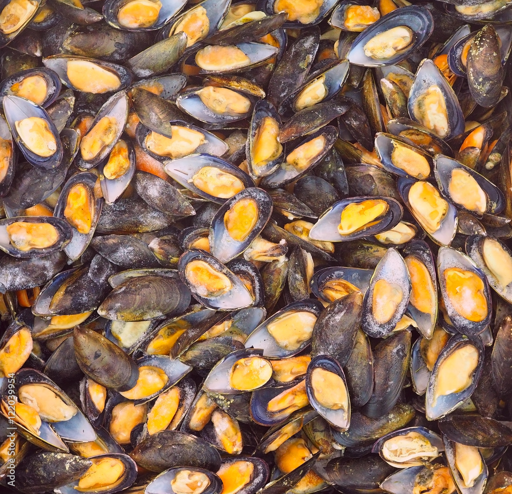 Frozen mussels with shells on fish market, view from top, fits as background Frozen mussels with shells on fish market, view from top, fits as background