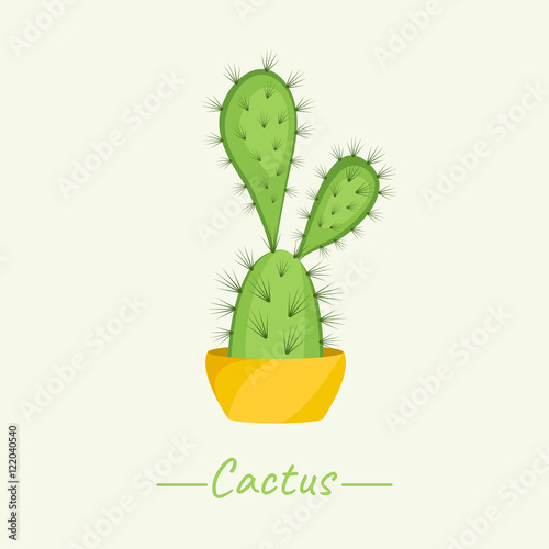 Cacti Bunny Ears plant in a flower pot on beige background. Opuntia Microdasys. Home interior floral design elements. Green succulent plants, nature concept. Tropical exotic botany collection.