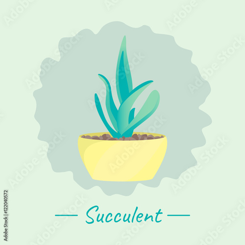 Succulent plant in a flower pot on green background. Home interior floral design elements. Green house plants, flowers and nature concept. Tropical exotic botany collection. Vector illustration.