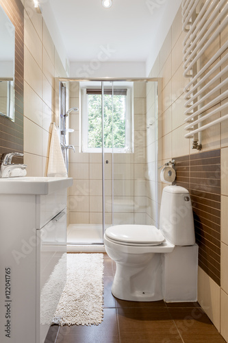Small and functional bathroom interior