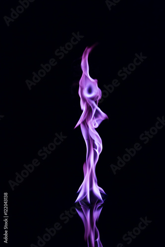 Purple  Flame