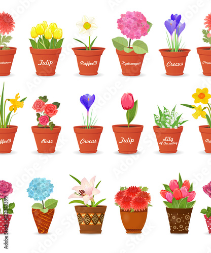 cute set seamless borders with lovely flowers planted pots for y