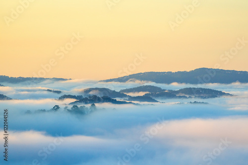 Fog over mountain and forest on sunrise