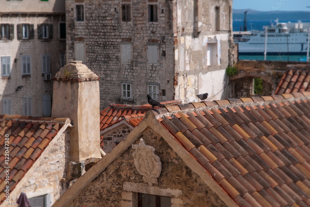 Pigeons on the roof of the old house, Split Croatia