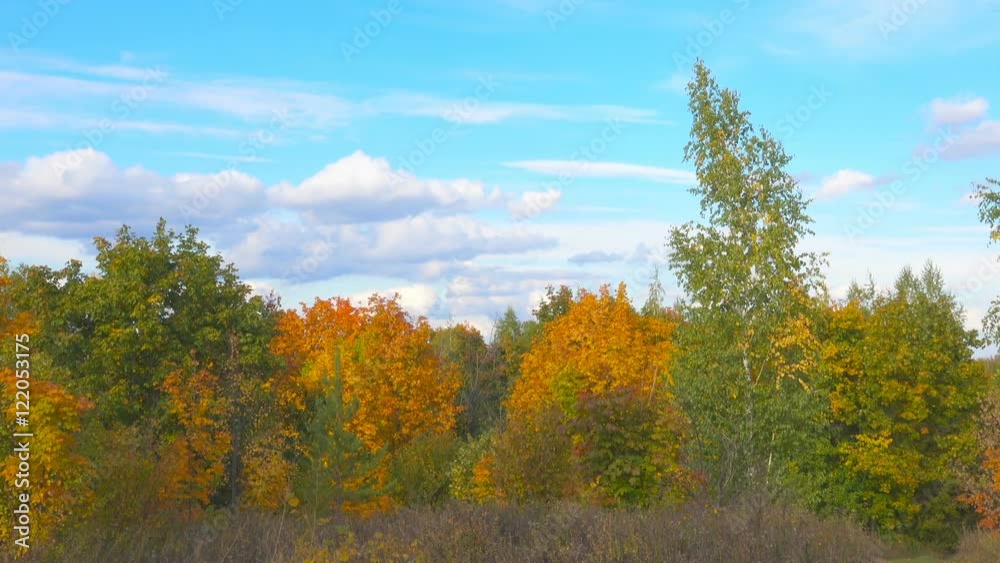 Scenic autumn landscape with colourful trees, grass and other vegetation on a hill and clouds on blue sky Scenic autumn landscape with colourful trees, grass and other vegetation on a hill and clouds on blue sky