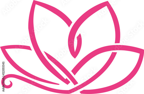 Fototapeta Naklejka Na Ścianę i Meble -  Abstract lotus flower