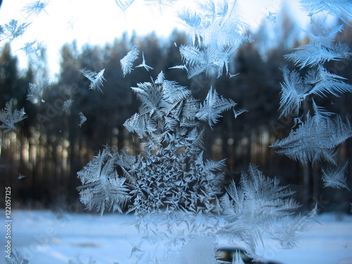 frozen winter window